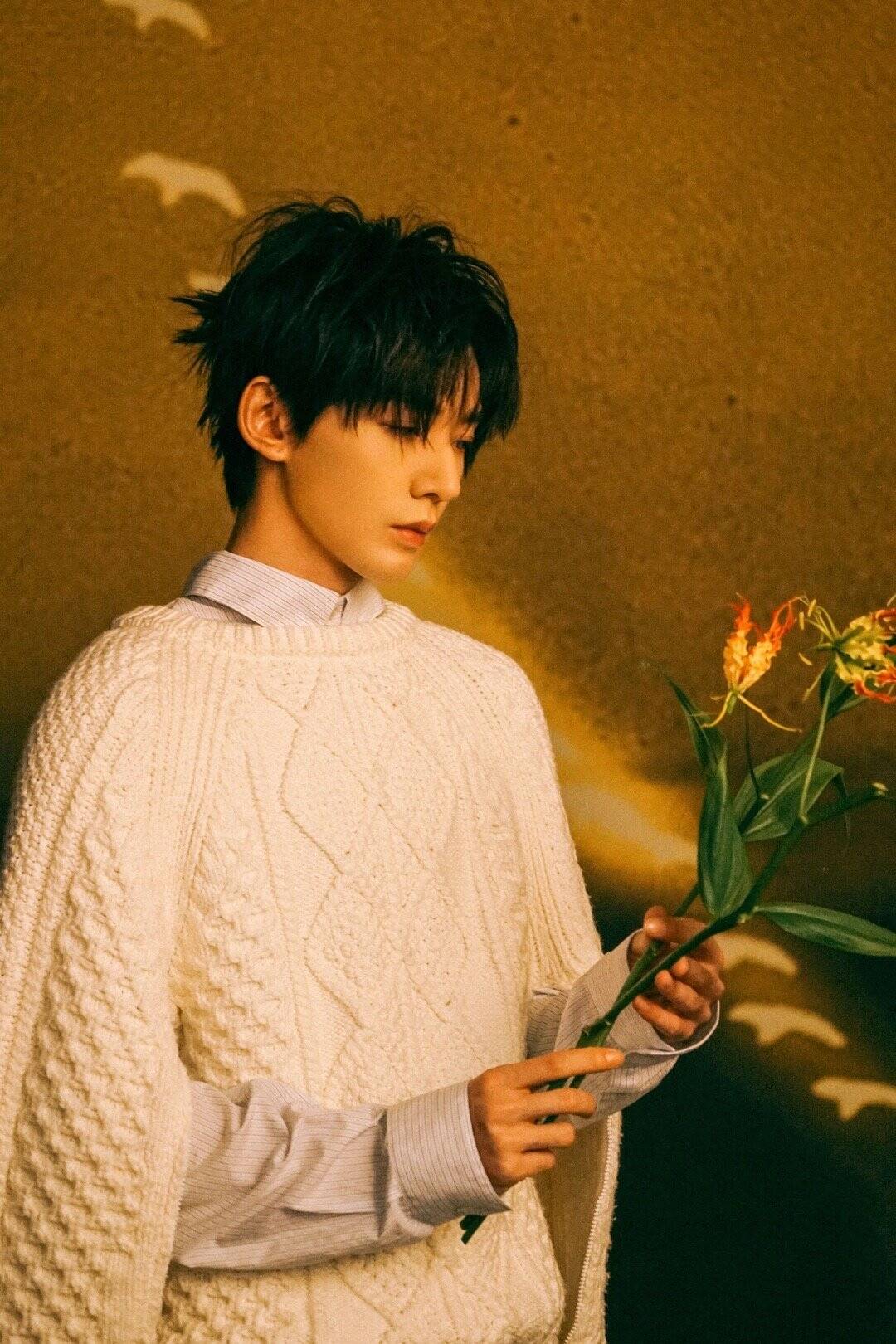 c6d2e322dba9f26b3bb8ad942a2f86ac_720.png 鄧為費(fèi)加羅封面/壹號(hào)娛樂